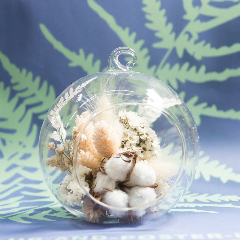 大弹珠干燥花 - 白色情人节 - 植栽/盆栽 - 玻璃 白色