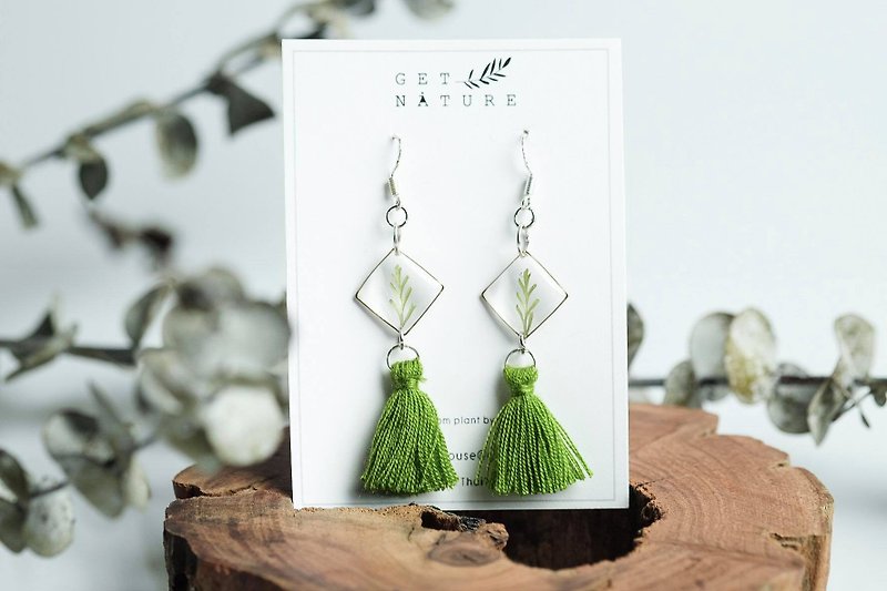 Fern square earrings (silver 925) - 耳环/耳夹 - 植物．花 绿色