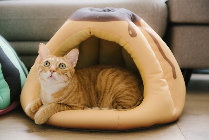 大暖屋- 焦糖布丁 猫窝 宠物床 宠物睡垫 - 床垫/笼子 - 聚酯纤维 黄色