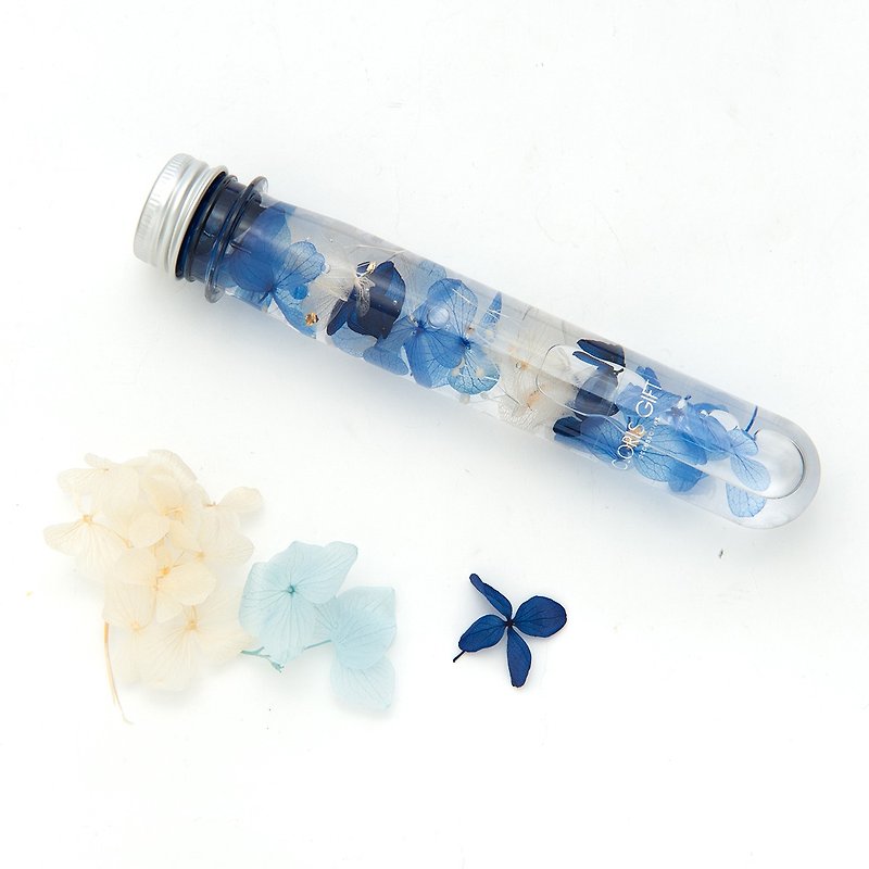 试管瓶系列 【流星雨】 - Cloris Gift 琉璃花 - 植栽/盆栽 - 植物．花 蓝色