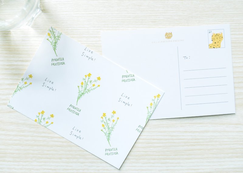 花园系列－小黄花 明信片／三送一 - 卡片/明信片 - 纸 黄色