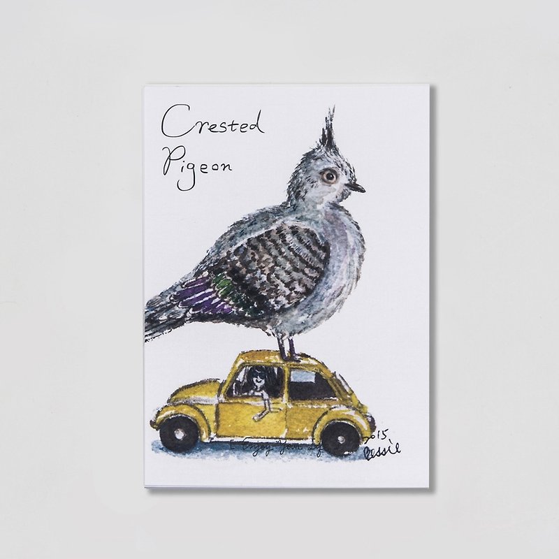 BIRDER  系列 - Crested-Pigeon - 卡片/明信片 - 纸 白色