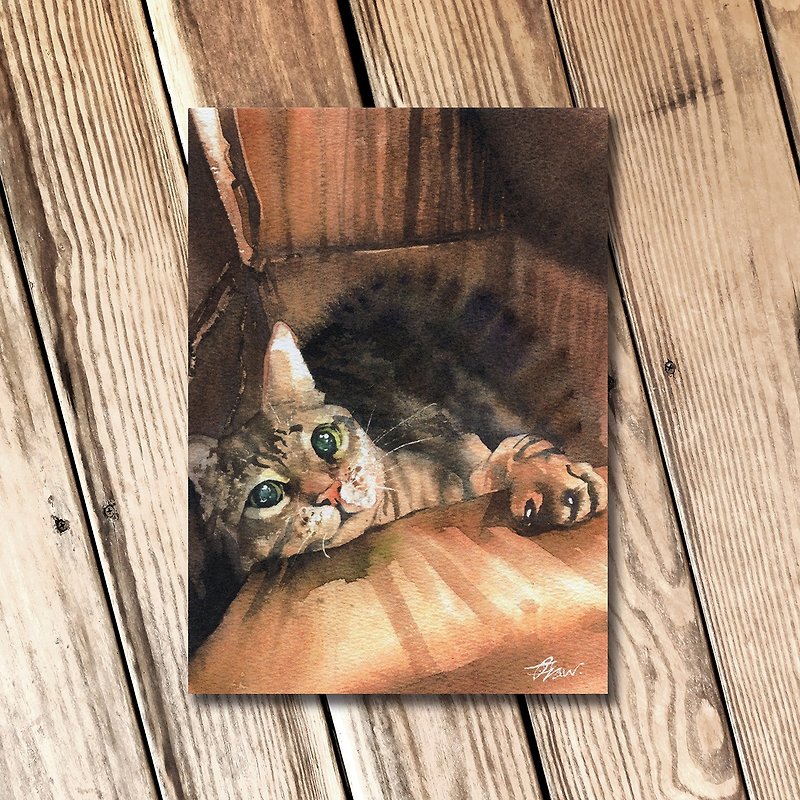 水彩绘猫猫明信片 - 虎斑猫套组 (4入) - 卡片/明信片 - 纸 咖啡色