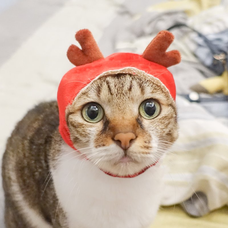 小红帽麋鹿宠物猫狗帽子头套*S号 - 衣/帽 - 聚酯纤维 红色