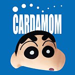设计师品牌 - 卡答国际cardamom