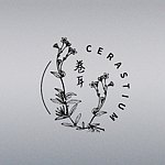 设计师品牌 - 卷耳CERASTIUM