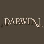 设计师品牌 - DARWIN