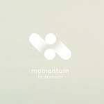 设计师品牌 - momentum.shannnam