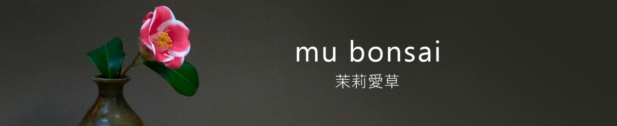 茉莉爱草 mu bonsai