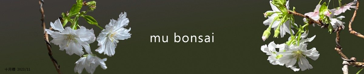 茉莉爱草 mu bonsai