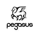 设计师品牌 - pegasus