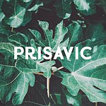 设计师品牌 - PRISAVIC