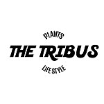 设计师品牌 - THE TRIBUS STUDIO