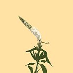 设计师品牌 - TOLIGHTHOUSE